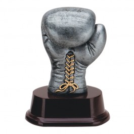 Boxing trophy boxing gloves Resin colourful Awards FREE Nameplate 