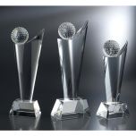 Swooping Golf Championship Award