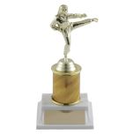Karate and Martial Arts Customizable Column Trophies