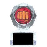 Full Color Martial Arts Acrylic Trophies