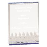 Mirage Self Standing Blue Acrylic Award
