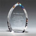 Crystal Flame Award with Rainbow Prism