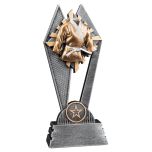 Sun Ray Martial Arts Trophies