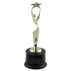 Reach For The Stars Award