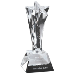 Power Star Crystal Award