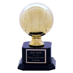 Engraved Gold Volleyball Trophies