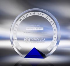 Blue Cirque Glass Award