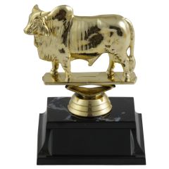Fierce Bull Award