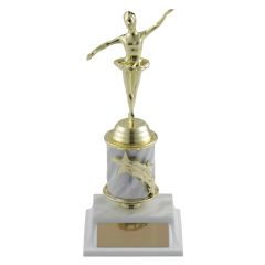 Exquisite Ballet Star Award