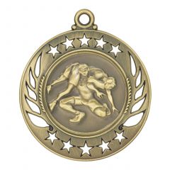 Stencil Gold Wrestling Medals