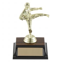 Side Kick Karate Award - Walnut Base