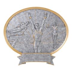 Male Gymnastics Excellence Award