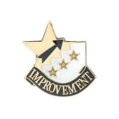 Small Pin Improvement Award