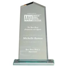Acme Glass Award