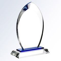 Professional Inspiration Crystal Award