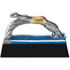 Male Swim Racing Award