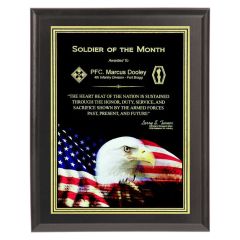 Patriotic Eagle and Flag Plaque