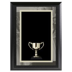 Silver Trophy Award Plaque