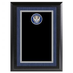 Air Force Appreciation Color Plaque