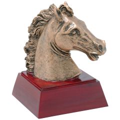 Mustang Resin Awards