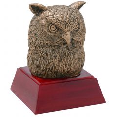 Resin Owl Trophy