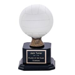 Realistic Resin Volleyball Trophy