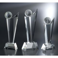 Swooping Golf Championship Award