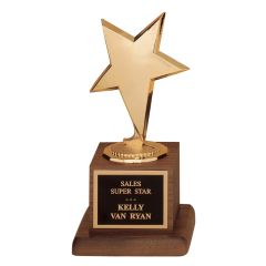 Abstract Gold Star Trophy