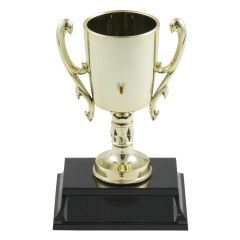 Gold-Tone Plastic Goblet Award
