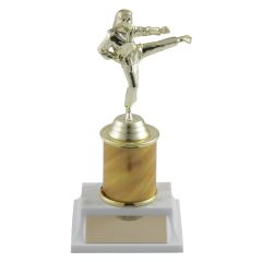 Karate and Martial Arts Customizable Column Trophies