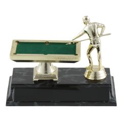 Ultimate Billiards Champion Award