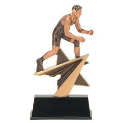 Star Power Wrestling Resin Award