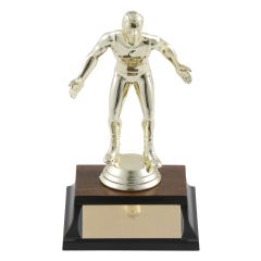 Golden Figure Men's Wrestling Trophies