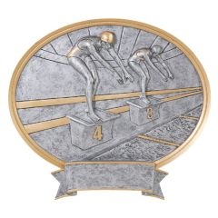 Ladies Oval Swimming Award