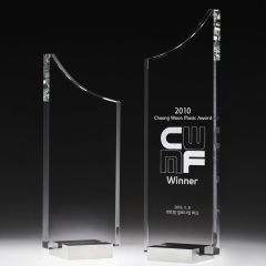 Boomerang Crystal Award