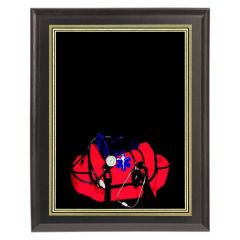 Paramedic Recognition Plaque