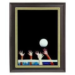 Color Volleyball Plaque