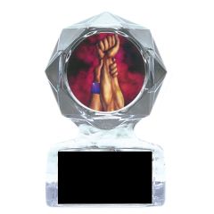 Clear Geometric Wrestling Acrylic Awards