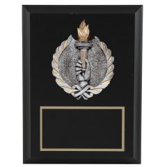 Metallic Victory Resin Disk Plaques