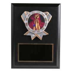 Colorful Resin Wrestling Disk Plaque
