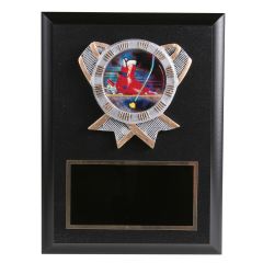 Colorful Resin Disk Downhill Ski Plaque