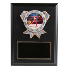 Colorful Resin Disk Cross Country Ski Plaque