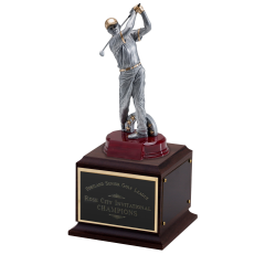 Perpetual Modern Golfer Trophy - Male