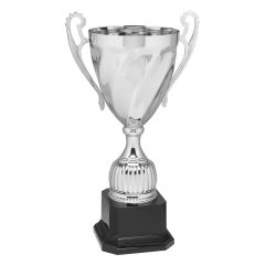 Swirl Pattern Silver Cup