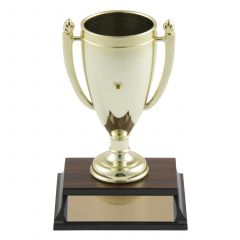 Small Plastic Loving Cup Trophy