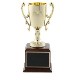 Large Plastic Chalice Cup Trophy