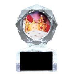 Crown Acrylic Joke Trophies