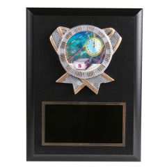 Swim Meet Action Plaques