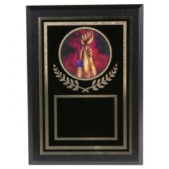 Colorful Wrestling Victory Plaque
