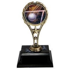 Rising Star Volleyball Trophies